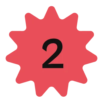 wisecompass BG