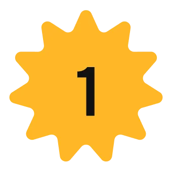 wisecompass BG