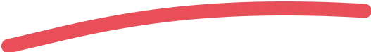 wisecompass Icon